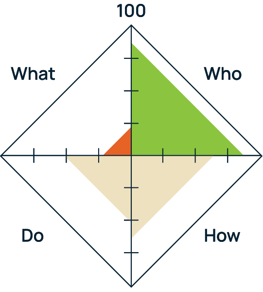 Board surveys whatwhohowdo framework